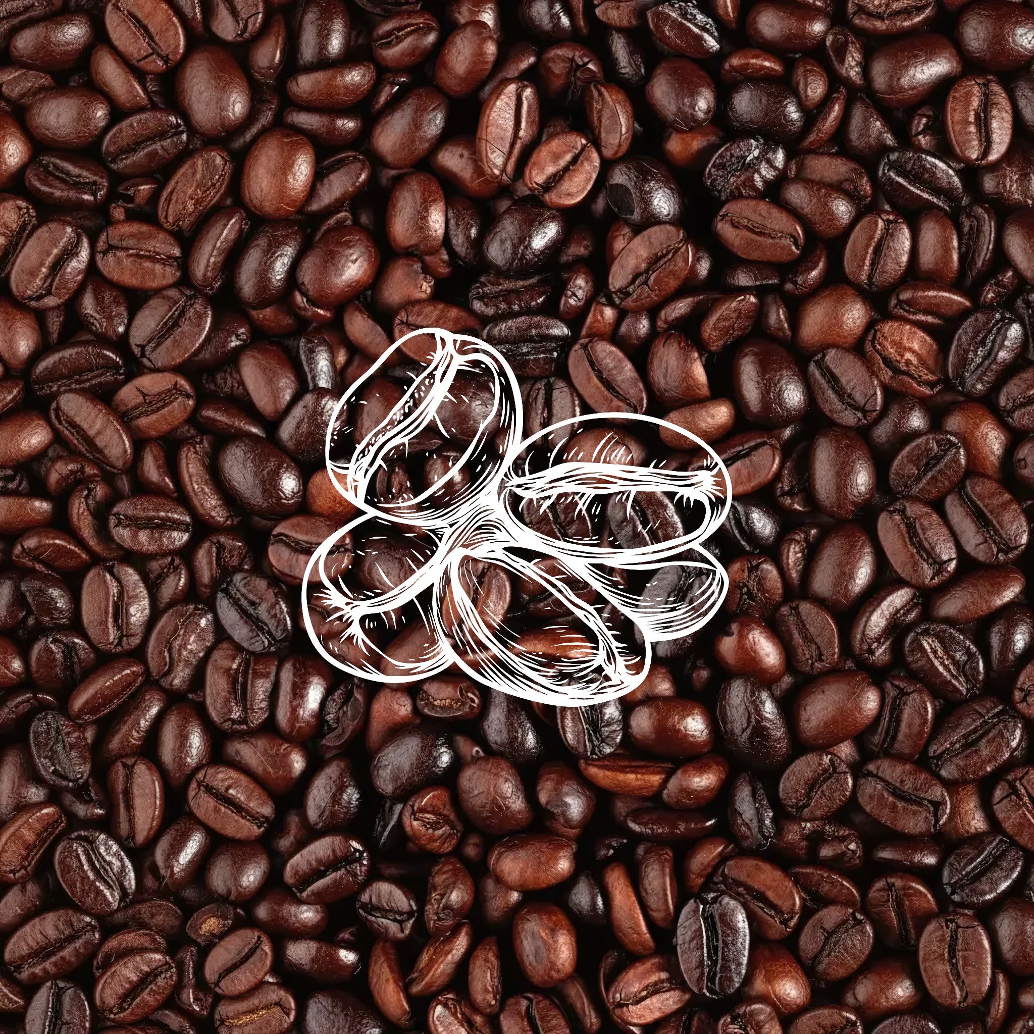 Overhead view of glossy roasted coffee beans with a central white sketch of coffee bean shapes, highlighting caffeine‑powered de‑puffing and energising benefits in Allnord eye and body care formulas.​