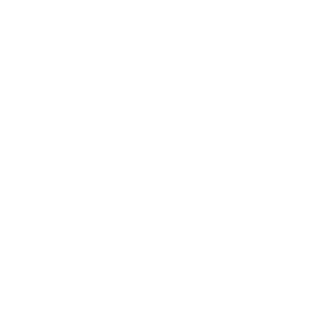 Simple white line icon of a sliced pomegranate with visible seeds on a transparent background, highlighting antioxidant pomegranate extract in Allnord firming and protective formulas.